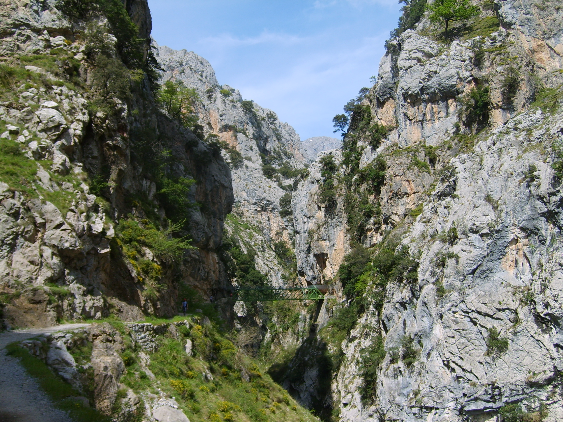 Sendero de la Ruta del Cares tallado en la roca del desfiladero